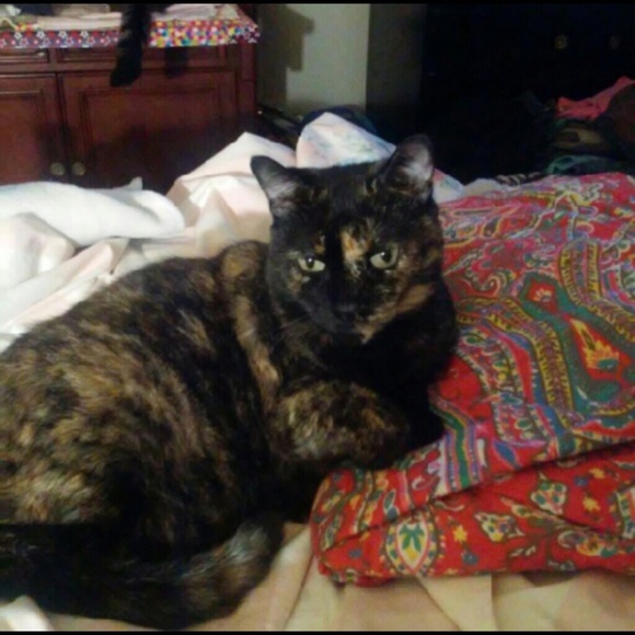 Meet your Posher, Angie - Picture 7 of 8